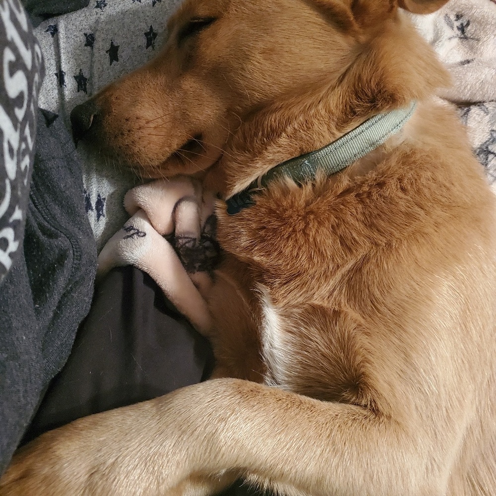 Meet your Posher, Jennifer